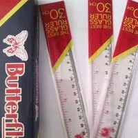 

penggaris 30 cm