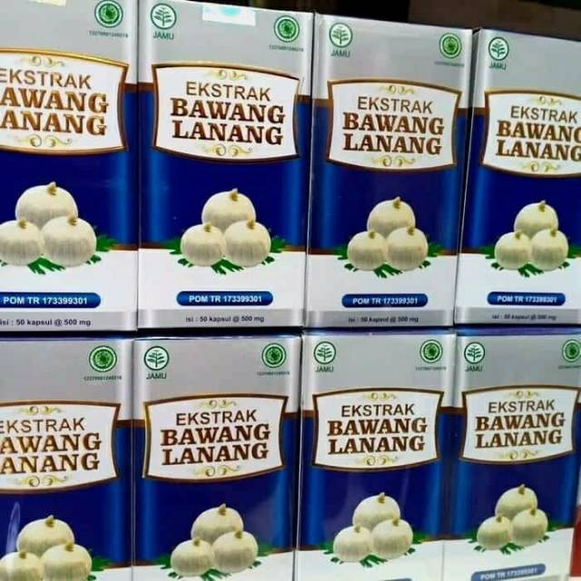 

Ekstrak Bawang Lanang