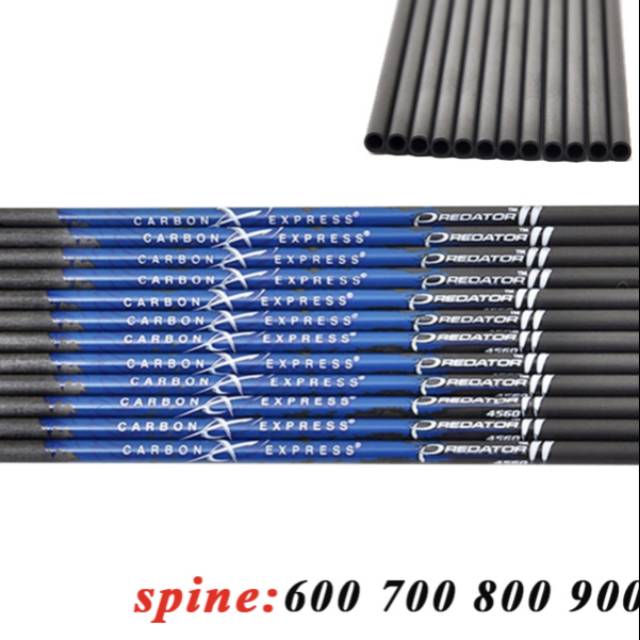 Arrow carbon express