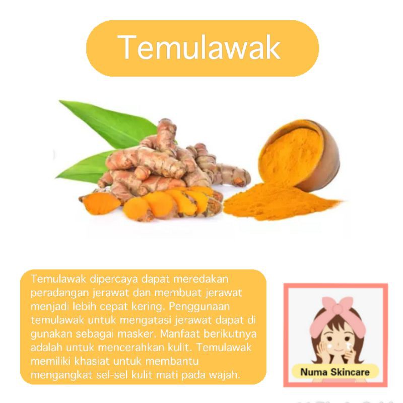 Yuk Lihat Manfaat Temulawak Untuk Masker Wajah 