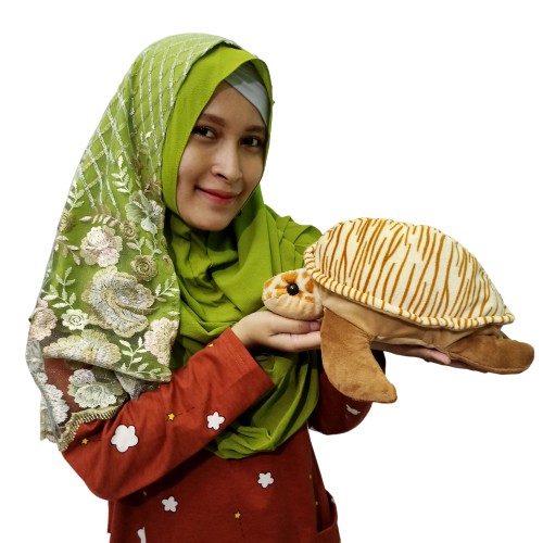 Boneka Kura Kura M Murah