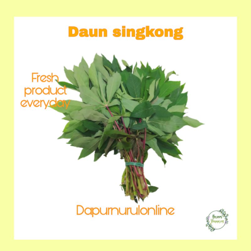 

Daun singkong Fresh Per ikat