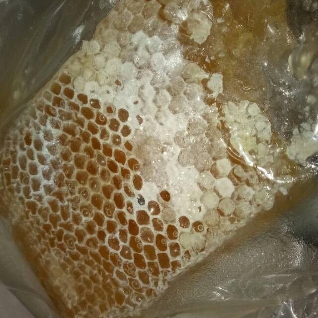 

Madu sarang tawon 500gr ASLI