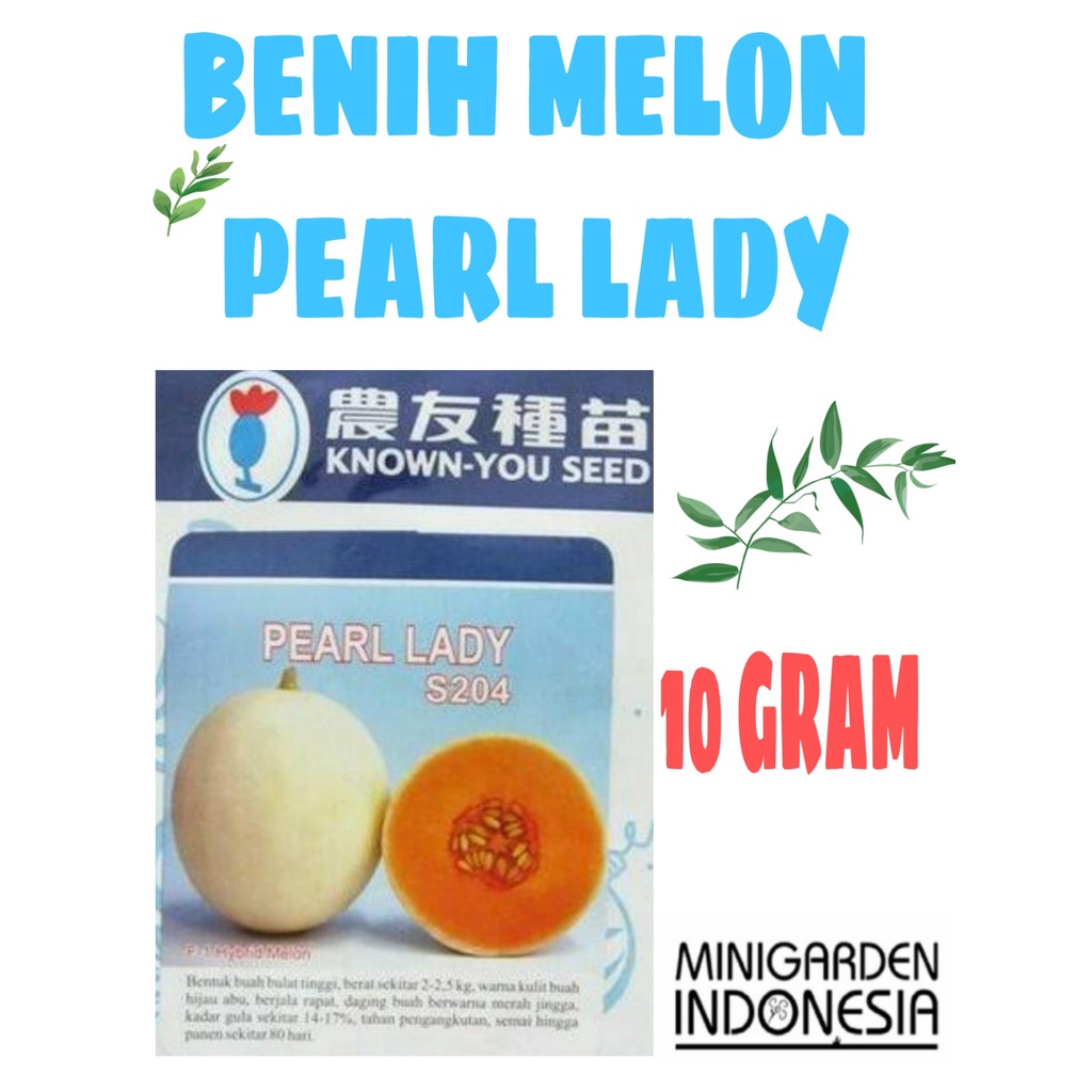 MELON PEARL LADY 10 GRAM PACK BESAR benih biji bibit melon orange melon oren f1 hibrida known you seed