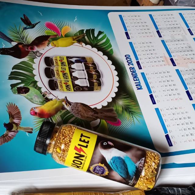 Pakan konslet aa duki asli