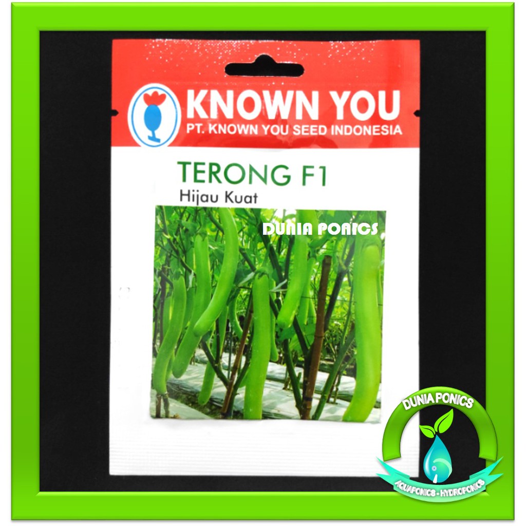 Benih Bibit Terong Hijau Hibrida F1 HIJAU KUAT Known You Seed 80 Butir Original Pack