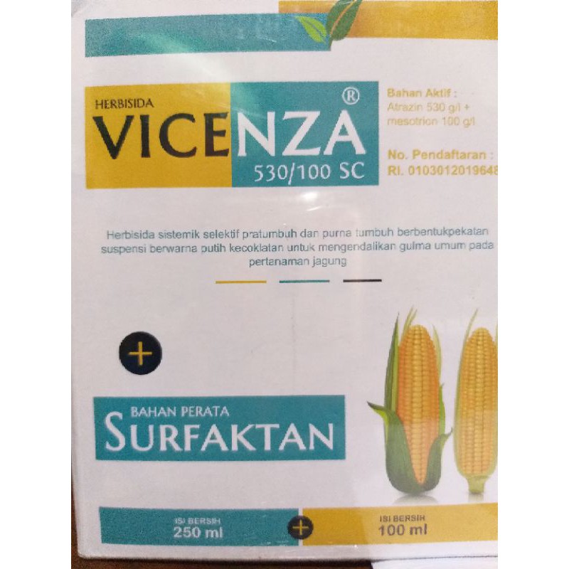 herbisida VICENZA 250ml pembasmi rumput pada tanaman jagung