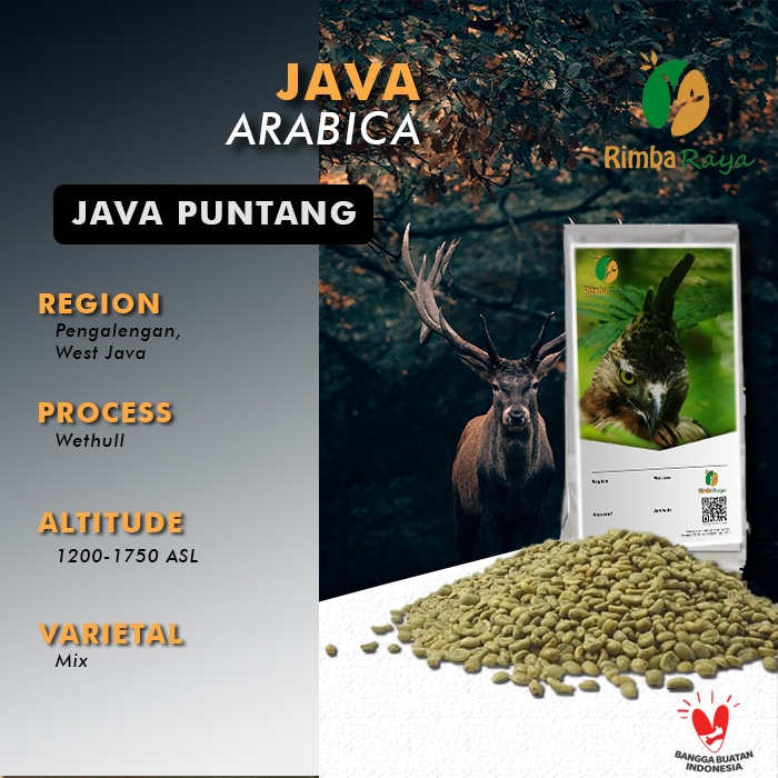 Green bean biji kopi mentah Arabica Puntang Komercial Grade