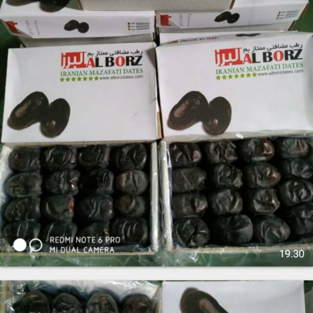 

Kurma al borz