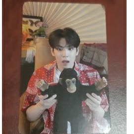 PC RTM Wonpil Monyet