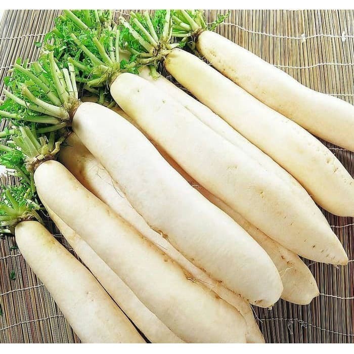 

Lobak ORGANIK 500gr