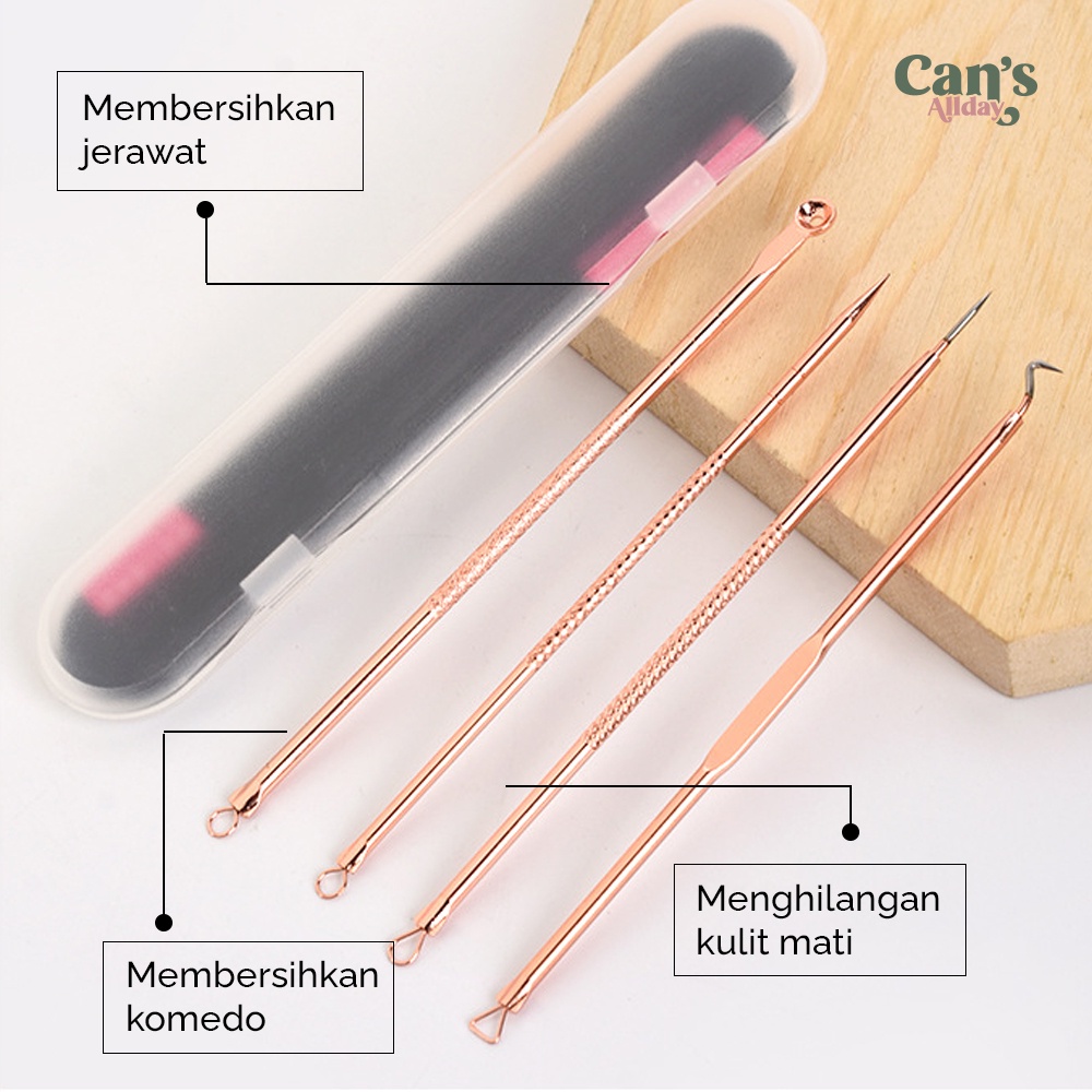 Alat Pembersih Muka Set Acne Pimple Needle Remover Kit 4 PCS