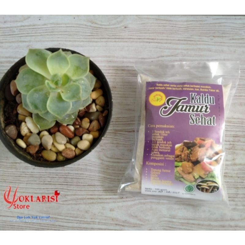 

KALDU JAMUR SUN V | Pengganti vetsin | Kaldu Non MSG| Halal MUI