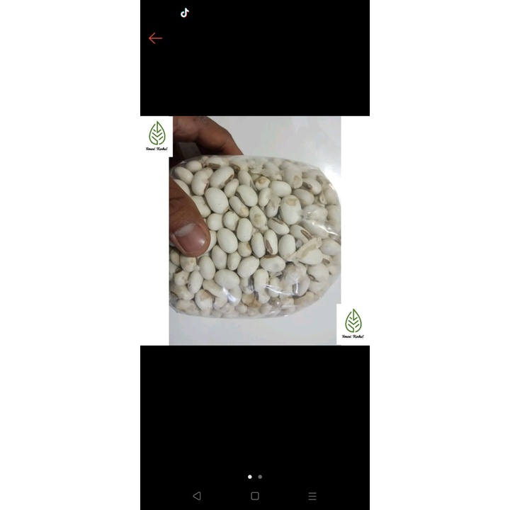 

kacang koro binong