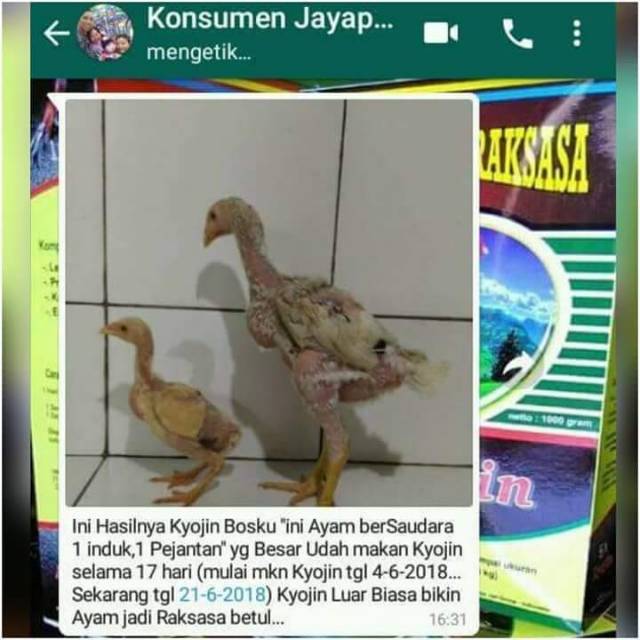 Kyojin Pakan Ayam Raksasa Shopee Indonesia