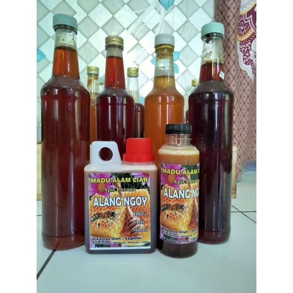 

MADU APIS CERANA ASLI DAN MURNI