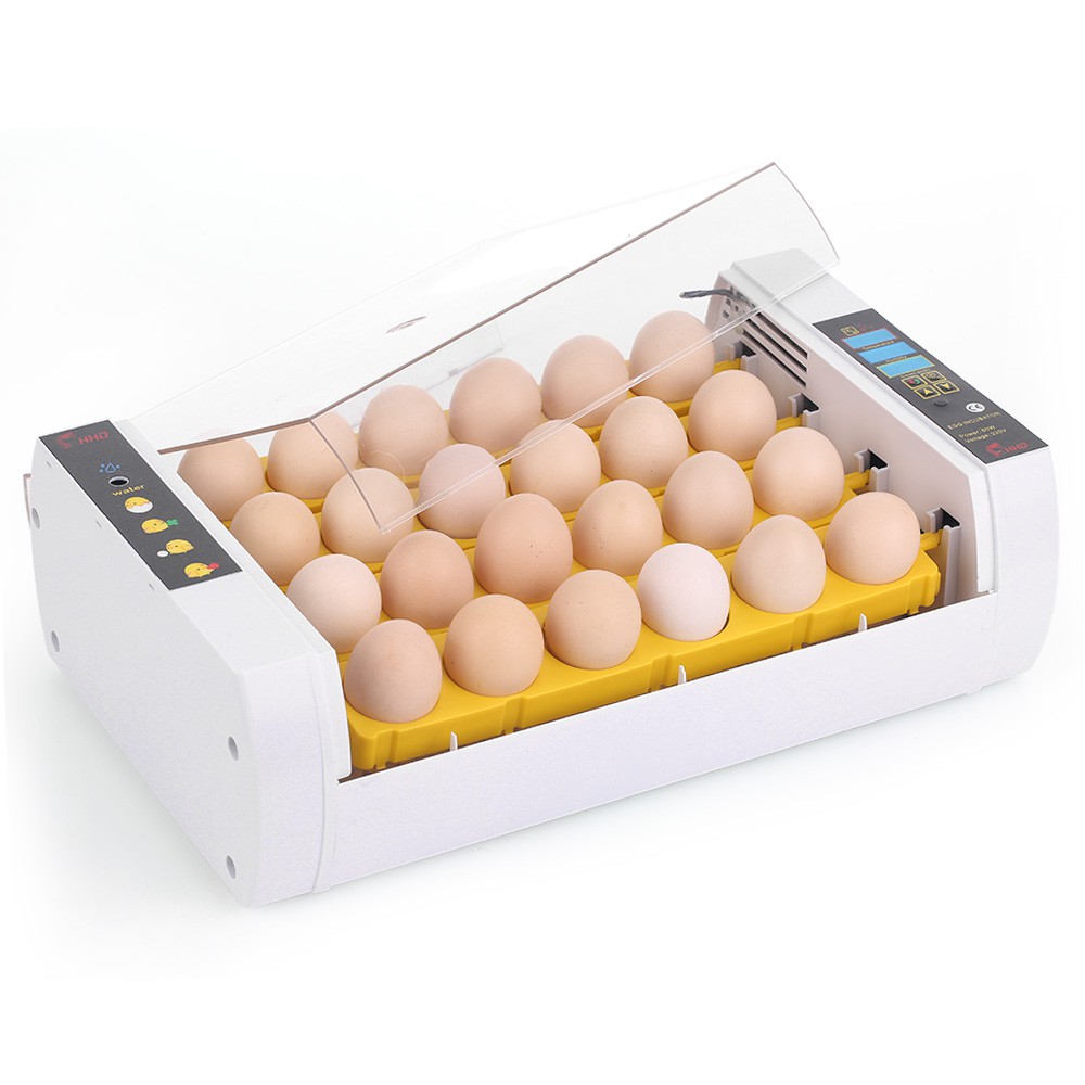 24 Eggs Intelligent Automatic Egg Incubator Temperature Control Hatcher Shopee Indonesia