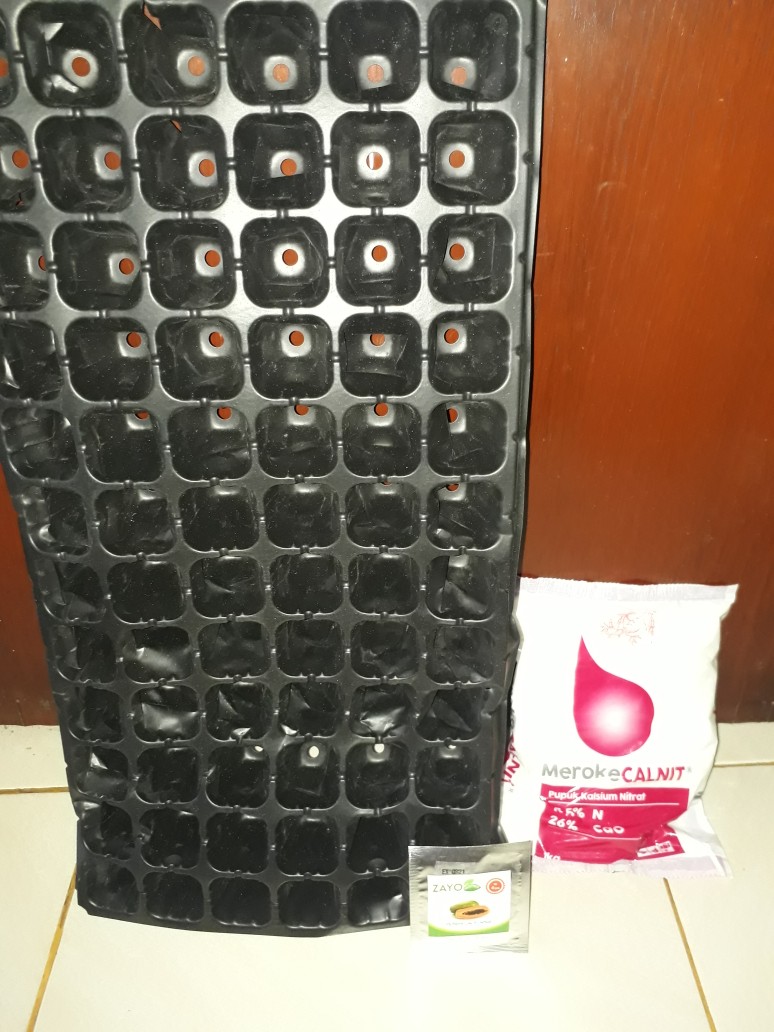 Benih Pepaya California -bibit Pepaya California - Benih Pepaya California Zayoseed