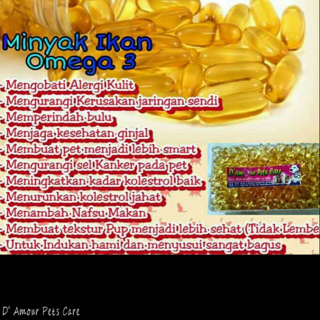 Jual Minyak Ikan Untuk Kucing Anjing Kelinci Dan Hamster Fish Oil Indonesia Shopee Indonesia