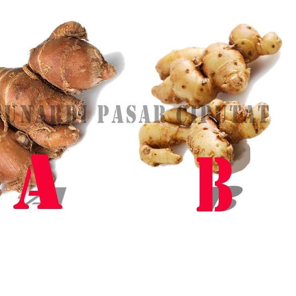 

RO3✧ kencur 100 gram Pasti Ada