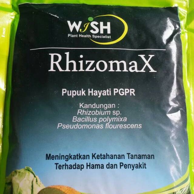 Pupuk PGPR (Rhizomax)