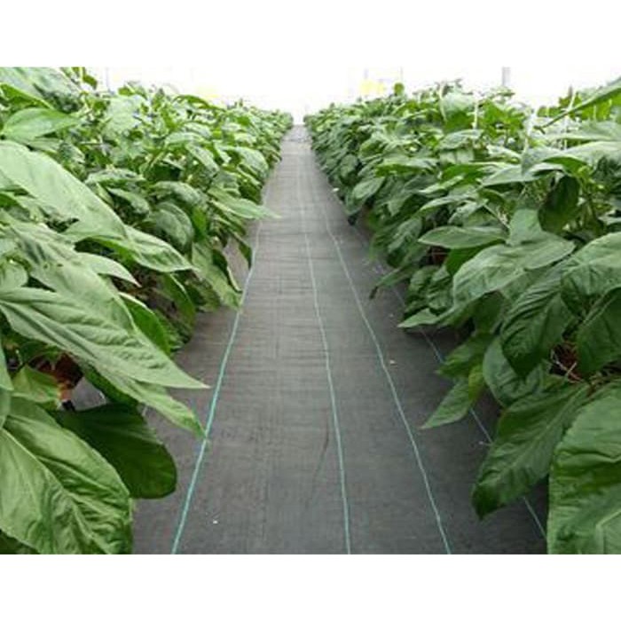 Weedmat Control Terpal Mulsa Anyam Antirumput