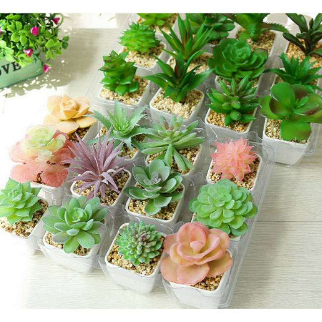 Kaktus Mini Latex Bunga Plastik Artificial Sukulen Sekulen Palsu Pot Hias