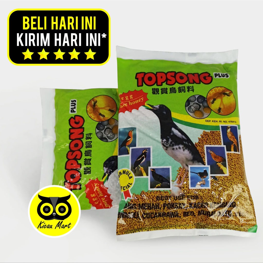 TOP SONG PLUS PURE HONEY VOER PUR MAKANAN PAKAN HARIAN BURUNG MURAI KACER ANIS HWAMEI TOPSONG TPMDT