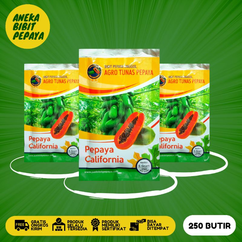 Bibit Pepaya California Unggul Kemasan 5 Gram Cv. Agro Tunas Pepaya