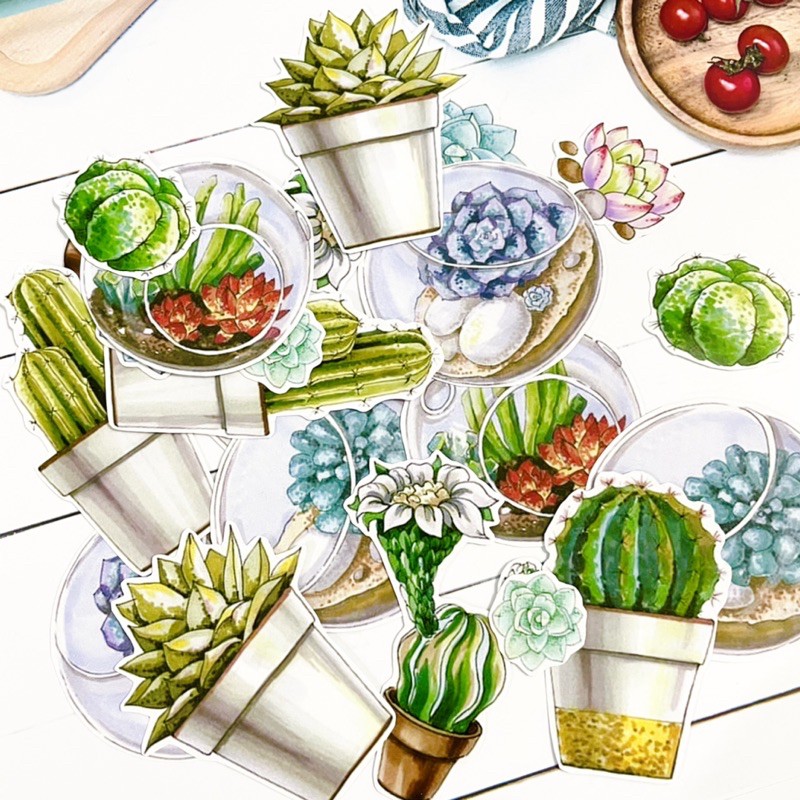 stickers set cactus plant stiker set isi banyak tanaman kaktus watercolour theme tempelan