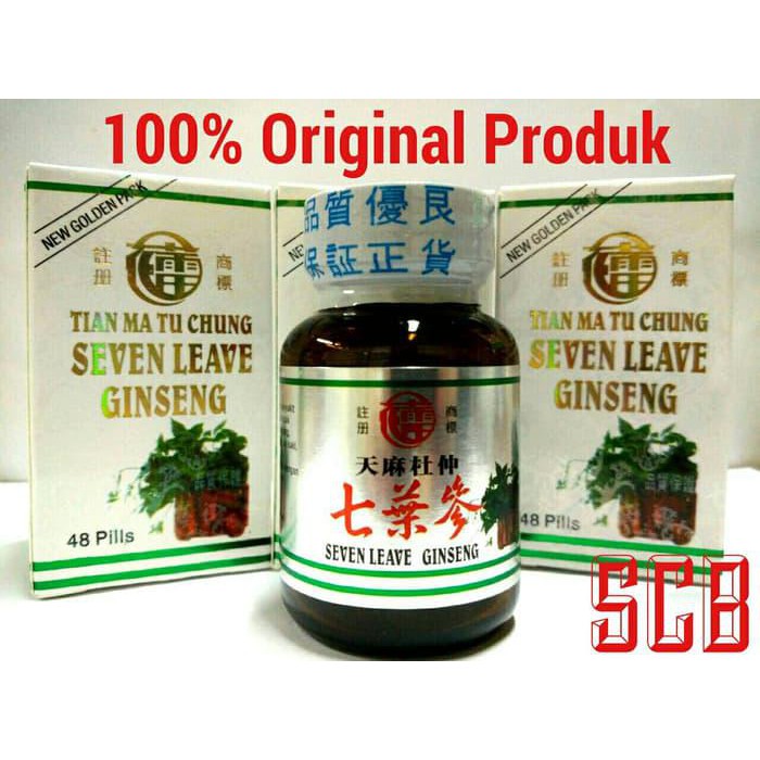 

AMPUH SEVEN LEAVE GINSENG - OBAT REMATIK , NYERI SENDI, PEGAL LINU !!