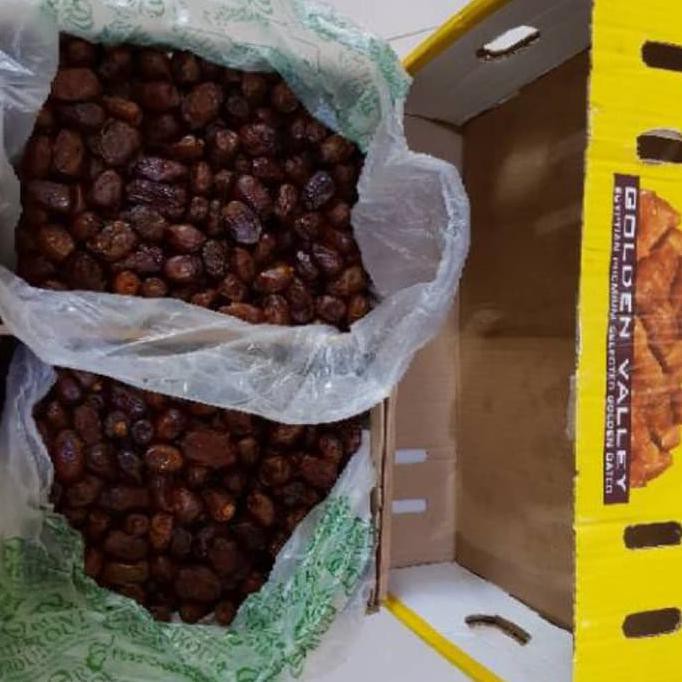 

Kualitas Terbaik Kurma Qurma Premium Dates Golden Valley 10 Kg