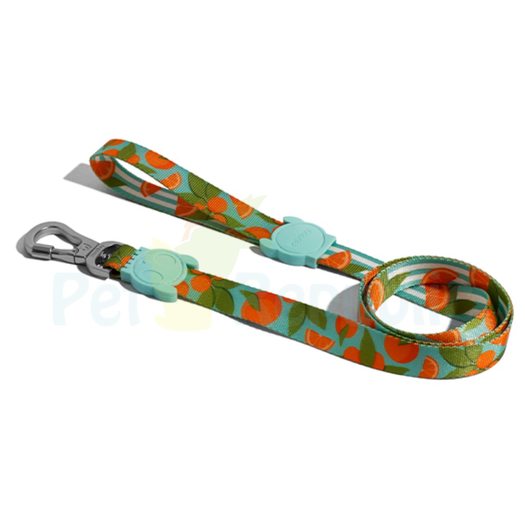

Pet Republic Tali Tuntun Anjing Premium ZEEDOG Leash