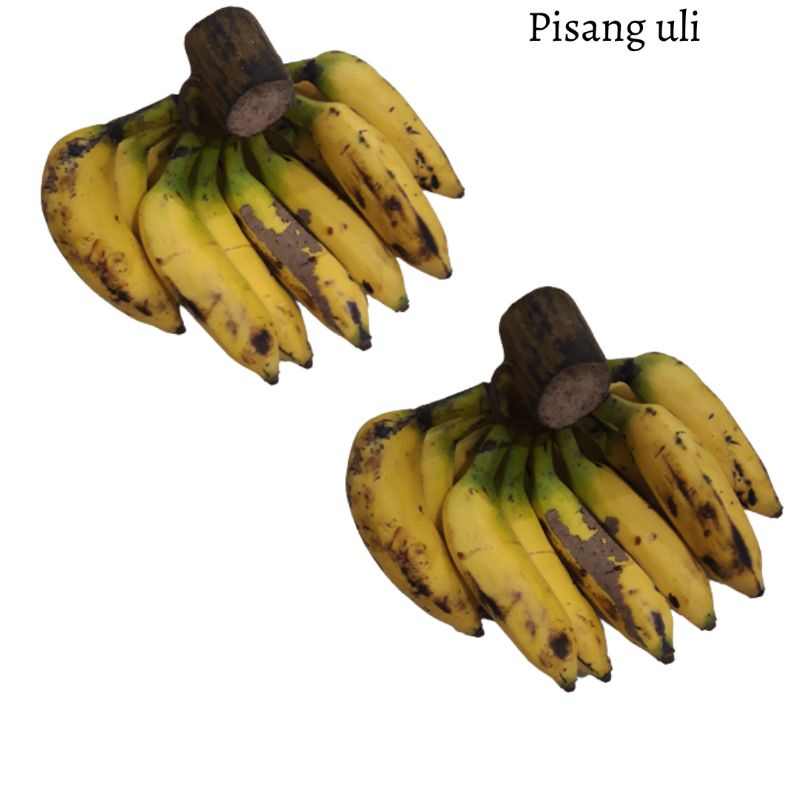 

Pisang Uli