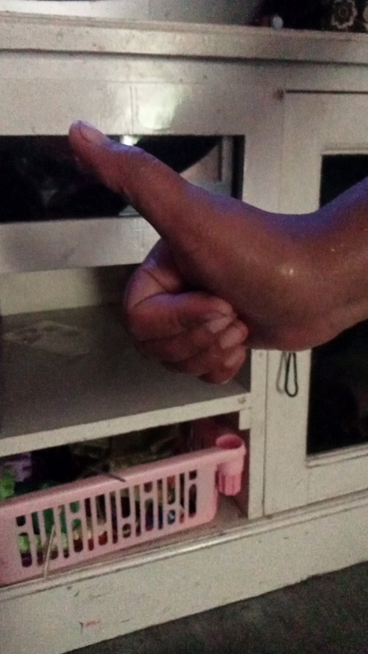 Rewind Spring Recoil Per Dobel Selahan Engkol Mesin Chainsaw Sinso Mini Tipe 5800 Easy Start