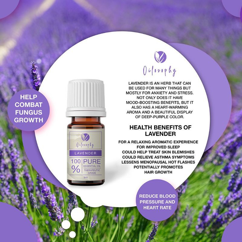 LAVENDER ESSENTIAL OIL | 5ml | 100% PURE | MINYAK LAVENDER | HERBAL
