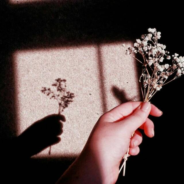 antyhsantyh