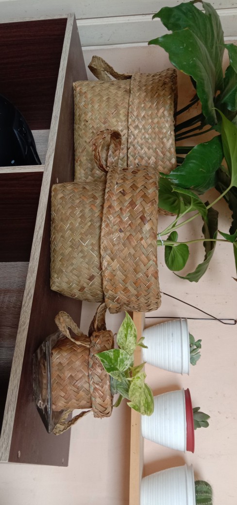 Keranjang Tanaman Ukuran 20 Cm