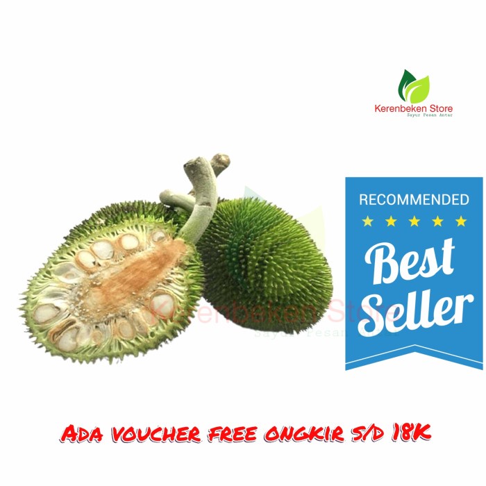 

buah kluwih - buah timbul per kg