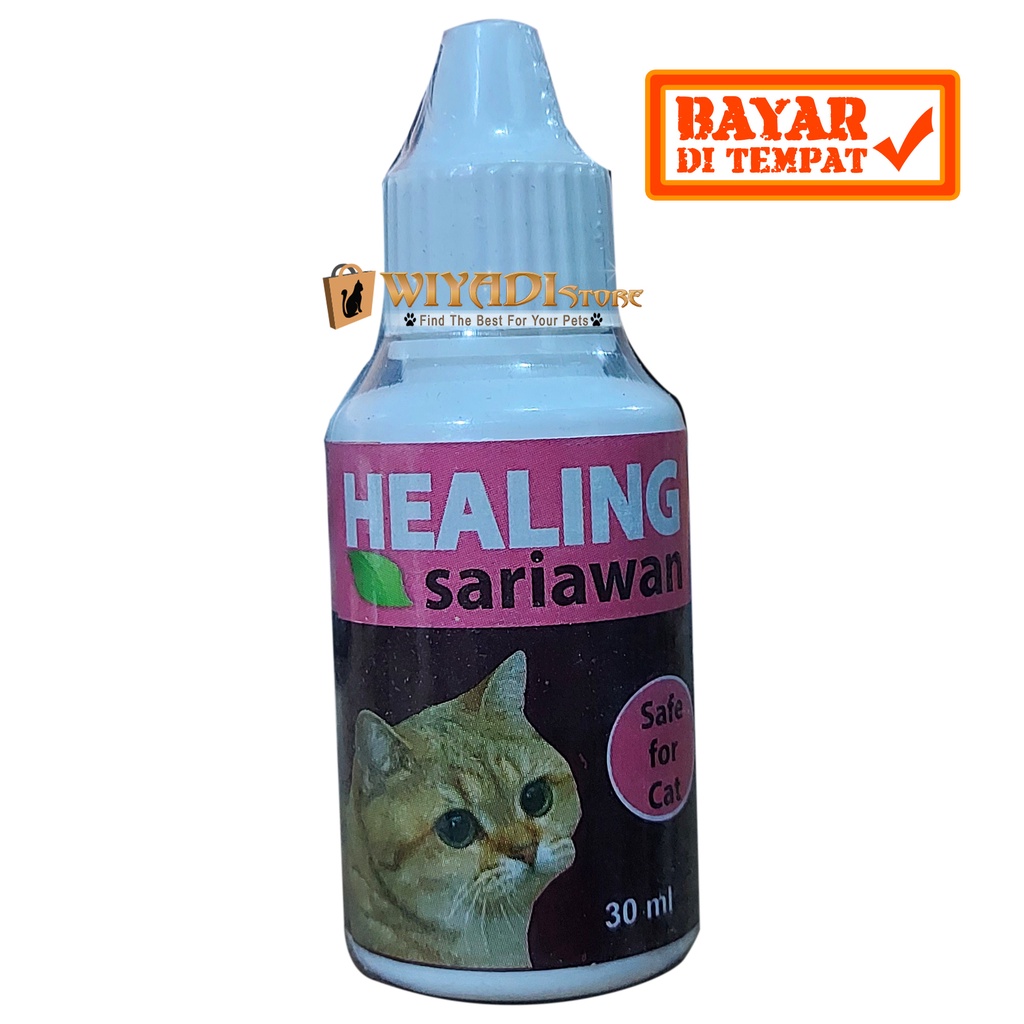 Healing Sariawan Cat - Obat Ampuh Atasi Bau Mulut Sariawan Kucing