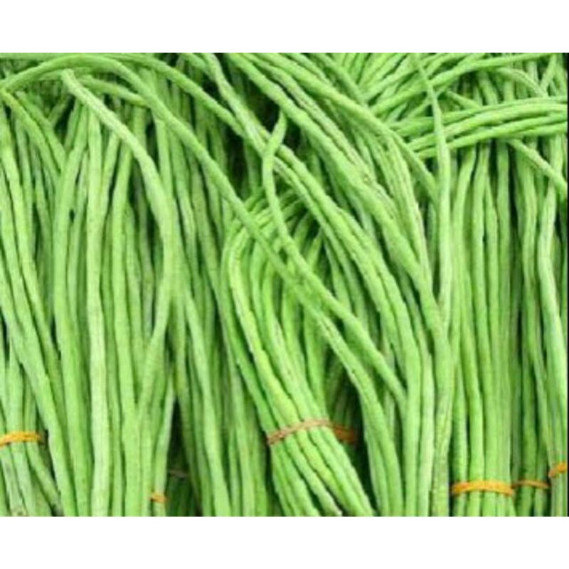 

KACANG PANJANG 250 gr