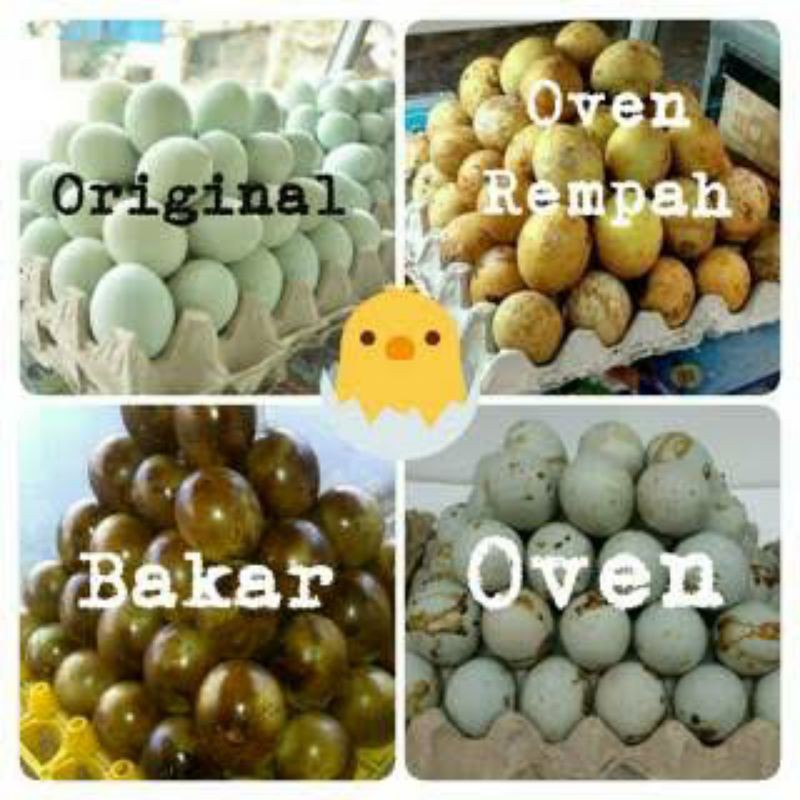 

TELUR ASIN ASLI BREBES 100% NDOG ASIN MASIR GURIH MAKANAN KHAS BREBES