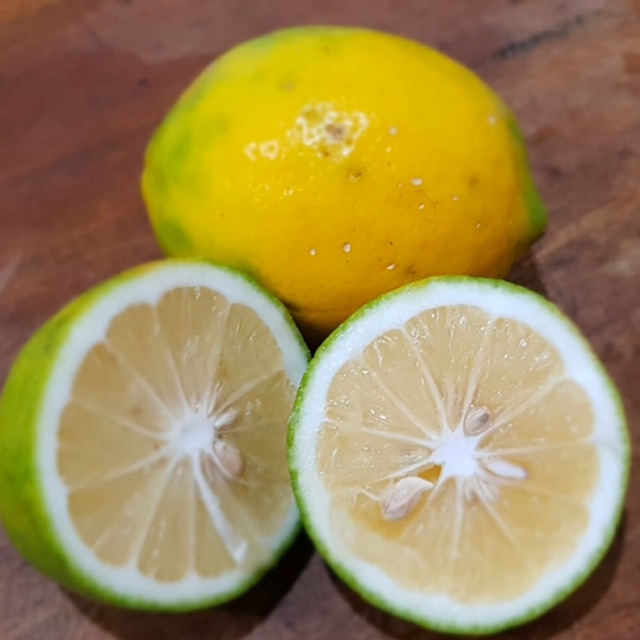 

Lemon gendut 500gr