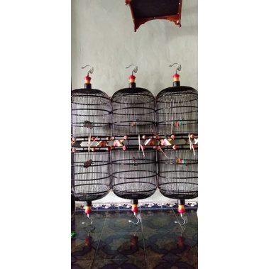 sangkar jemur burung perkutut