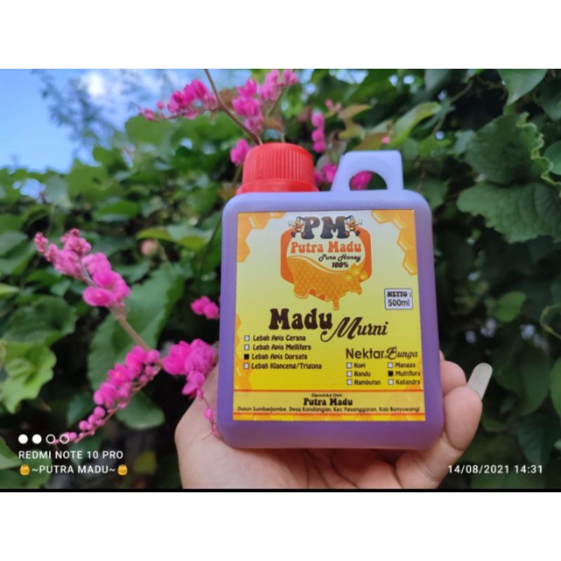 

Madu Lebah Apis Dorsata/ Madu lebah Gung_Madu Hutan
