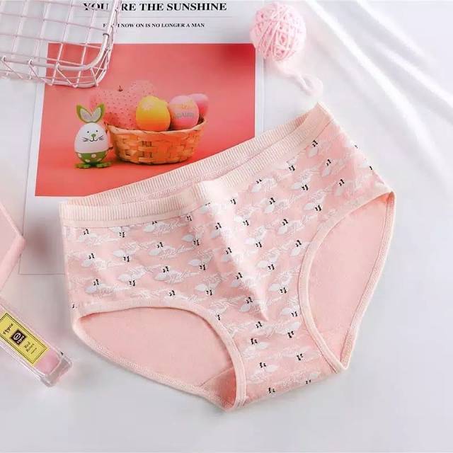 Celana Dalam Set 5pcs Underwear Wanita Flamingo Import Cotton size L Pakaian dalam wanita import