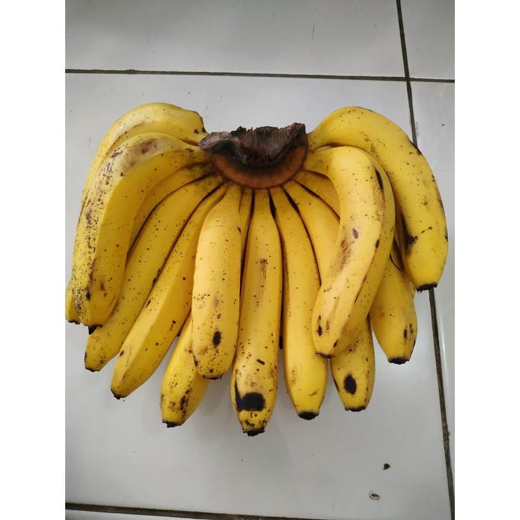 

pisang ambon 1 sisir