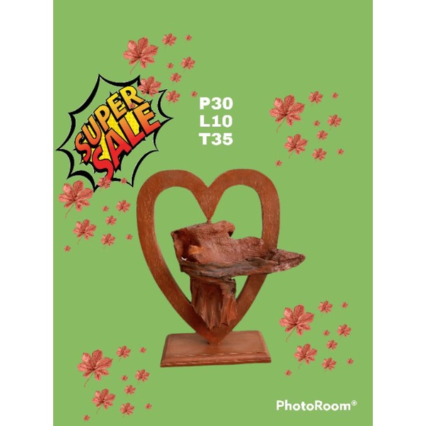 mediatanam tilandsia