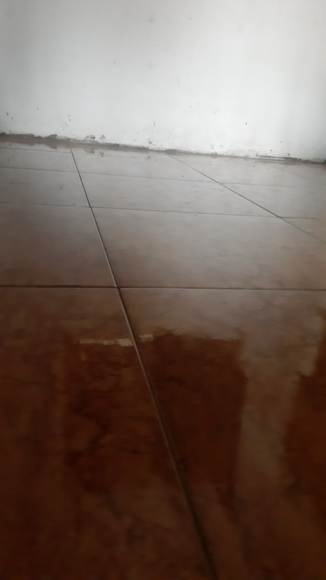 Jaring Ayam Lebar 1,2 Meter Jaring Pagar Ayam - Jaring Kandang Burung Jaring Pagar Tanaman