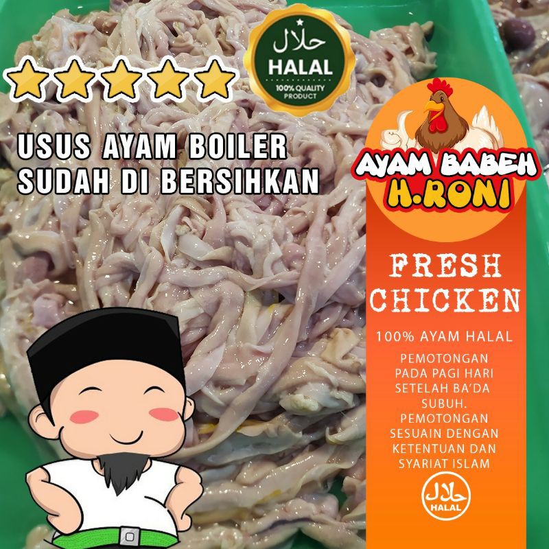 

[Fresh] usus ayam boiler 1 kg + sudah di bersihkan